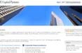E. Capital Partners è online con TribalDDB 